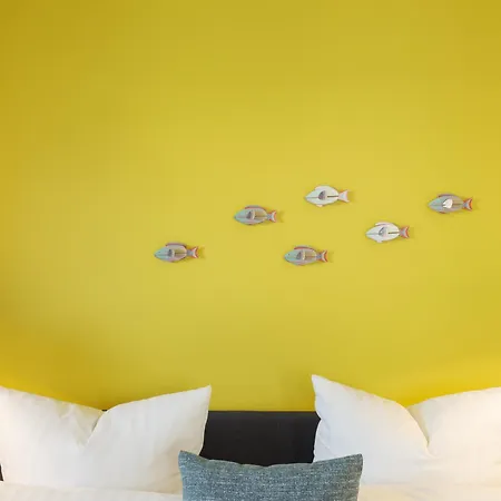 Ostkueste - Steigel Design