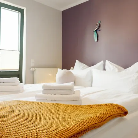 Ostkueste - Steigel Design *